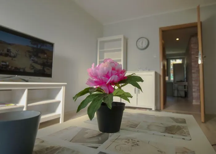 Apartment Jdk Podmiejska 38m2 5-osobowy